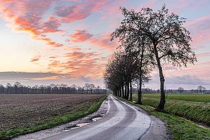 Merfeld, Dülmen, Feldweg am Mühlenbach